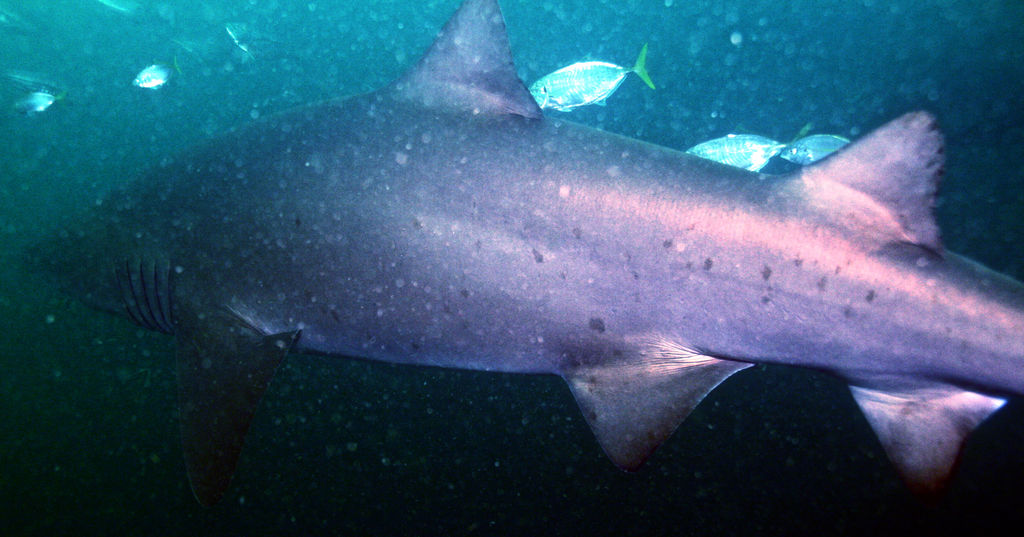 461ba38f-68d6-4ee4-8e27-ec90f82400ec