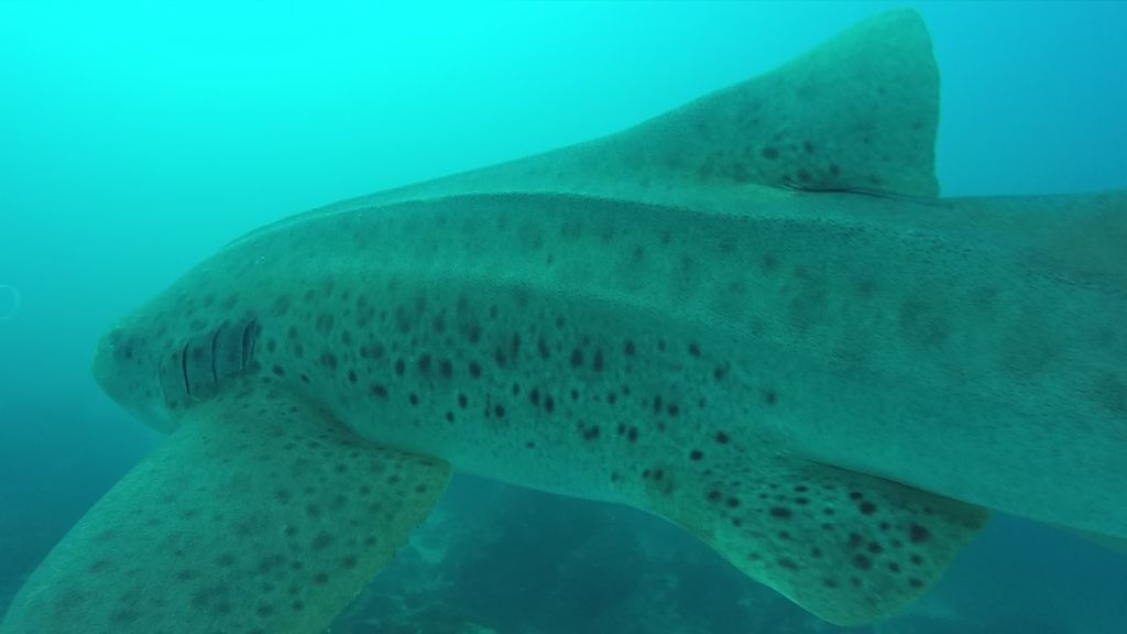 4cf543d1-6f08-4105-ac64-bc74efaf1032