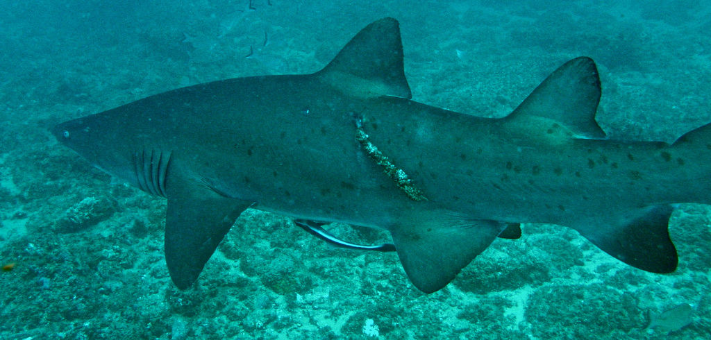 2e71369a-5f27-473a-9e7e-8e0feaaf2ede