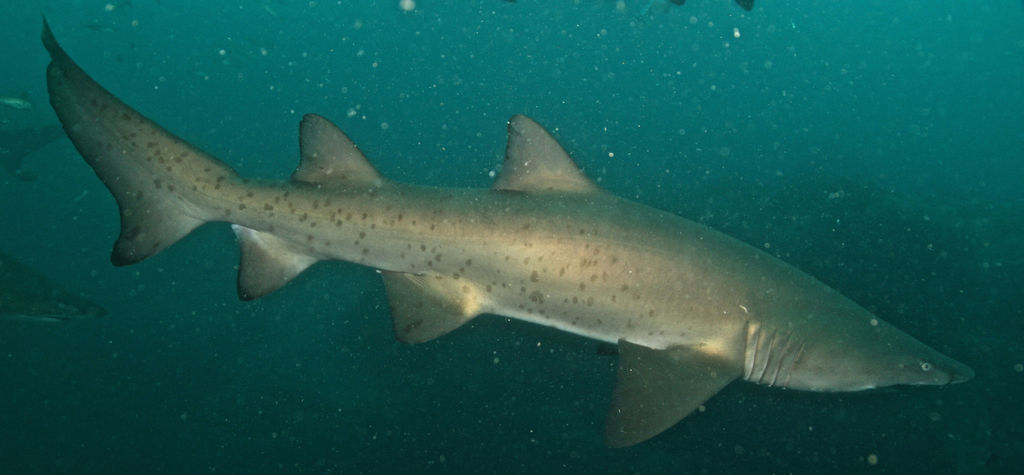 45307681-a139-4683-a51a-328d3c23dbaa