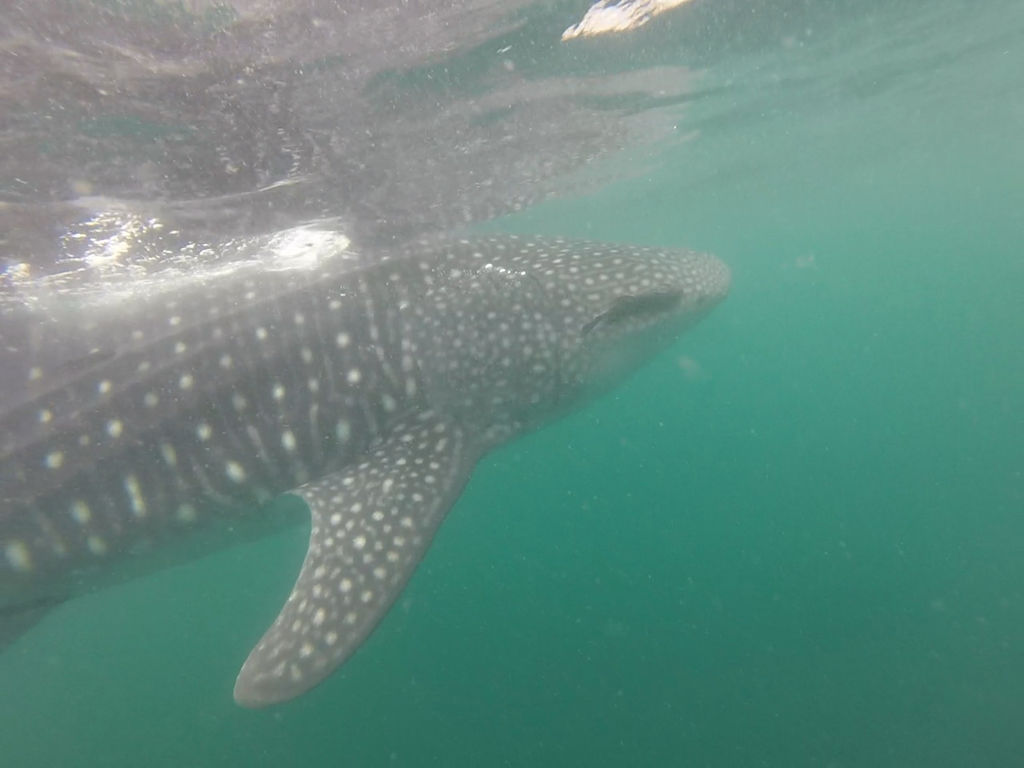 fe0542e4-88d0-43d1-b6cc-e02082ac3bc9