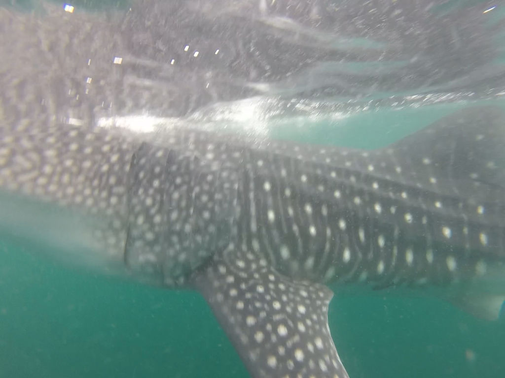 fe0542e4-88d0-43d1-b6cc-e02082ac3bc9