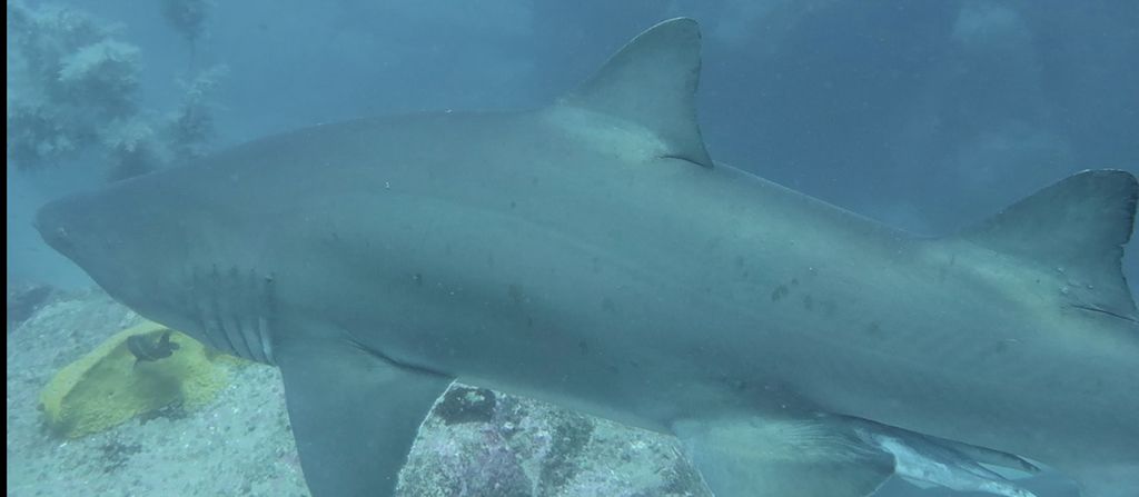 7460ef72-cc5f-4c66-ae28-ec203b7539b2