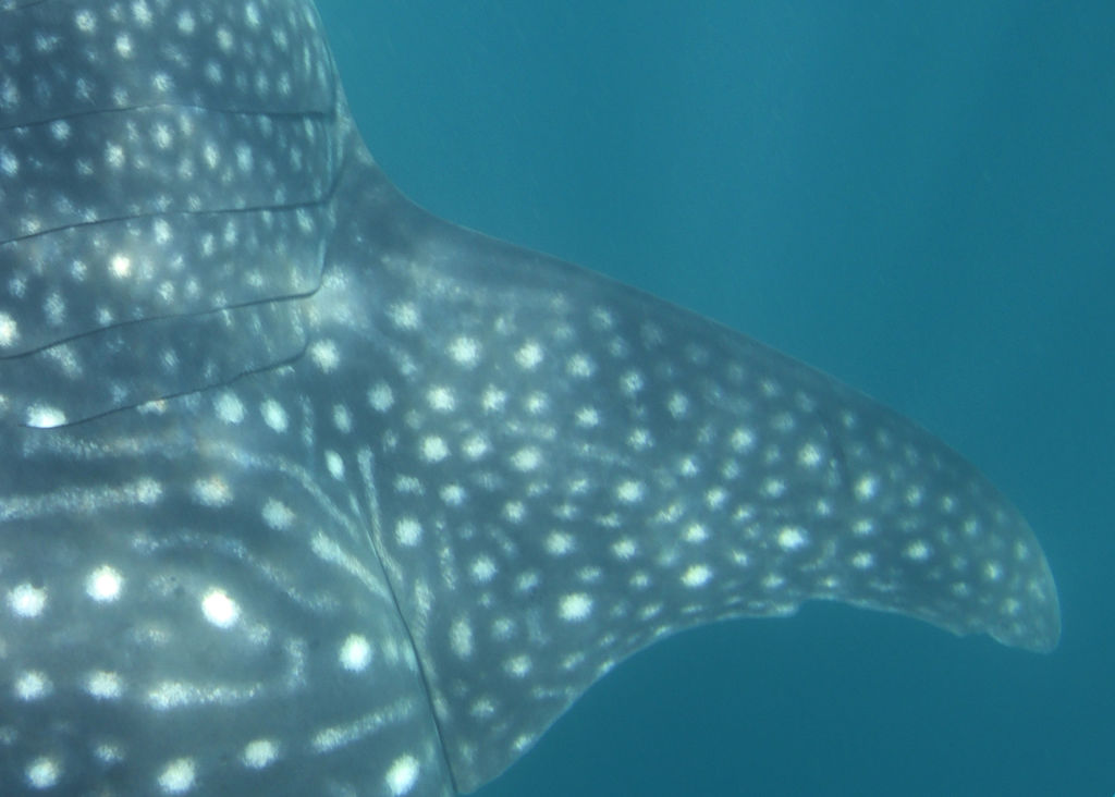 2ab0916c-639d-4db0-afb5-1e8d77f9648e