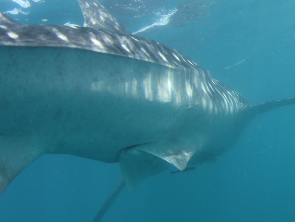 2ab0916c-639d-4db0-afb5-1e8d77f9648e