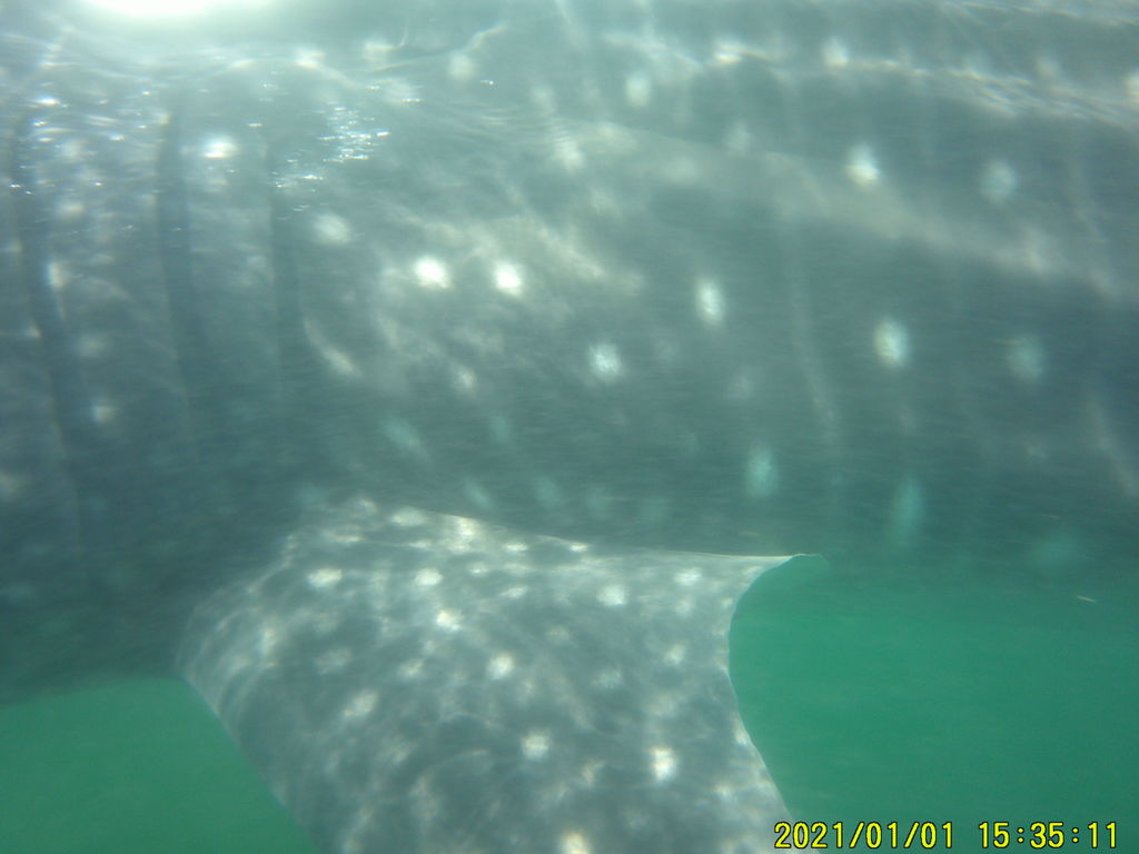 d44870cc-d072-4ad3-a557-c33a8bca35f1