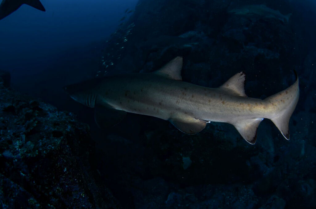 9c45598b-cc2b-4044-ae31-f01db54d2aa6