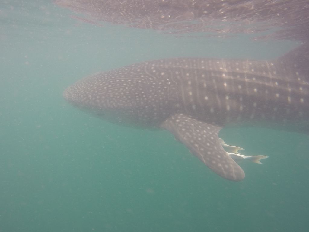 329cd66a-2b8e-4ba4-a3df-290e58c19e91