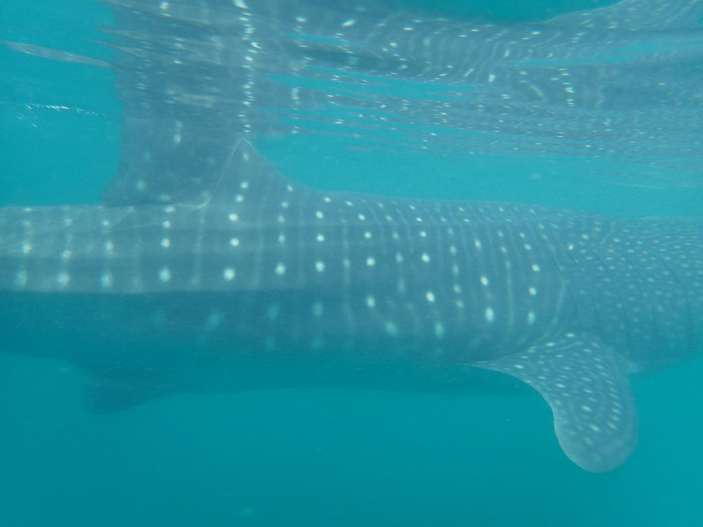 329cd66a-2b8e-4ba4-a3df-290e58c19e91