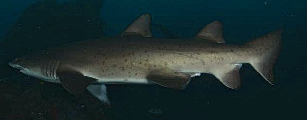 308d13aa-1cb3-4fb7-ae9c-73ec7a69c342