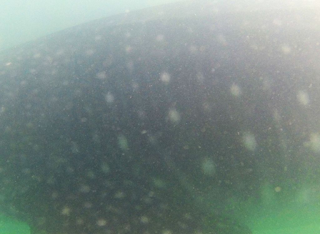 96638248-5374-468b-80e3-e7d9c981ef19