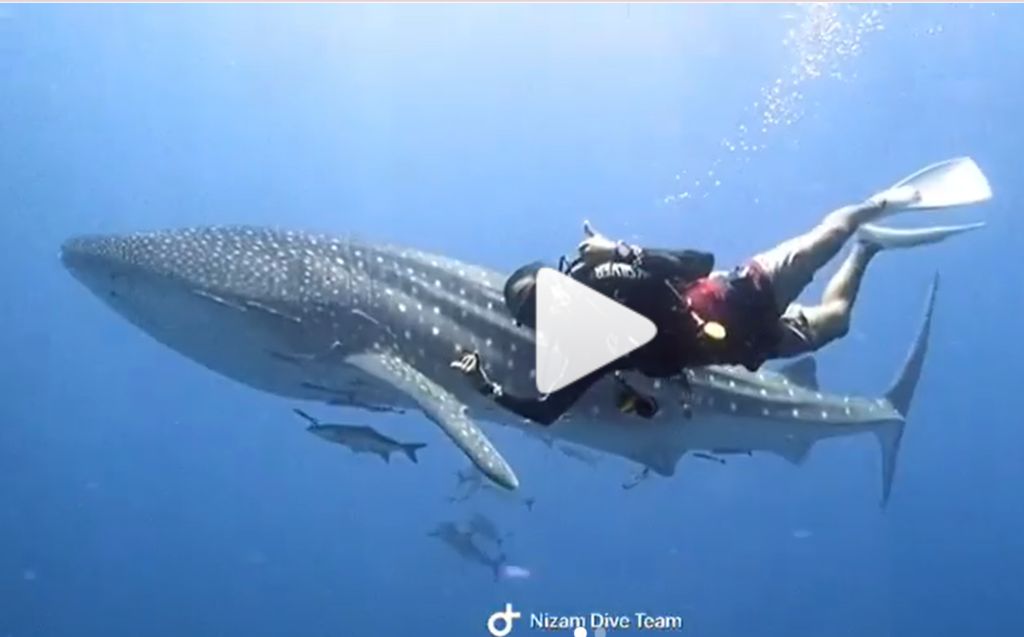 a5465b78-32bc-4f74-8008-51fa8d91da6c