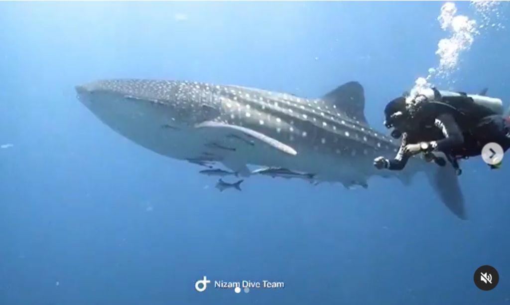 a5465b78-32bc-4f74-8008-51fa8d91da6c