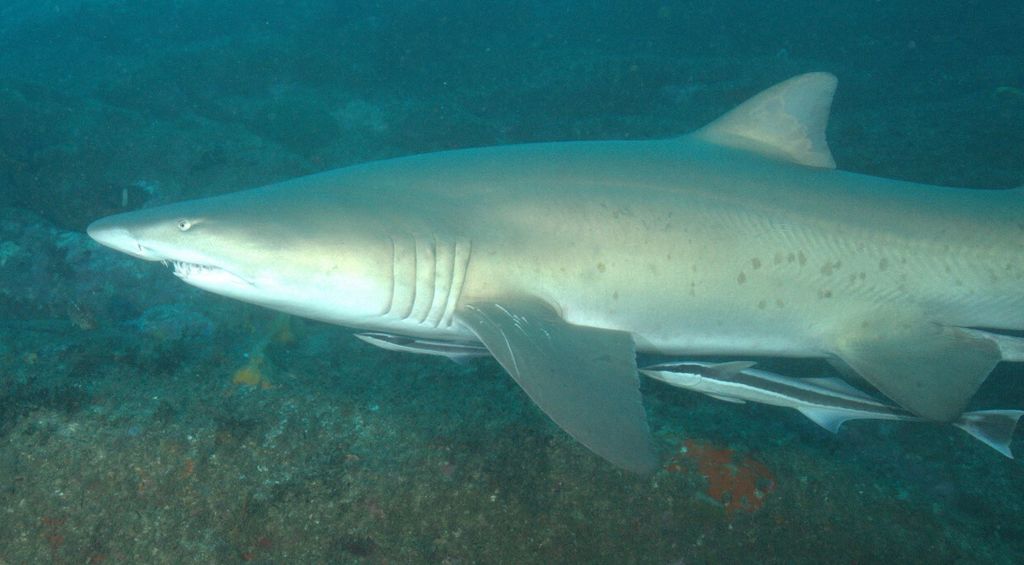 38eecaea-9da9-4f99-a036-78510255dd2e