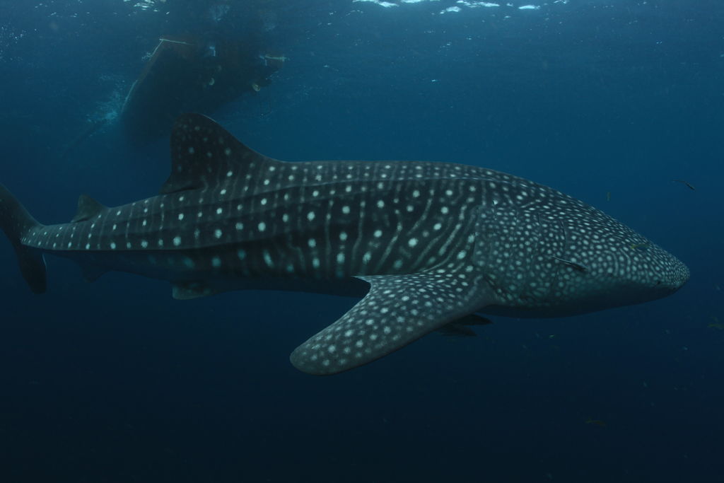 8c930f59-f23b-4f86-aeb9-c84c02867b6c