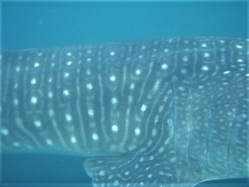 b78ff492-0e77-4f7b-9d1f-242505955acf