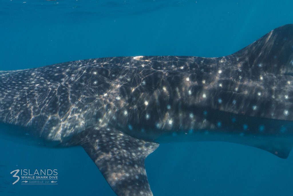 6ed92c59-7323-4bab-a7d3-4fe65a4c0c9d