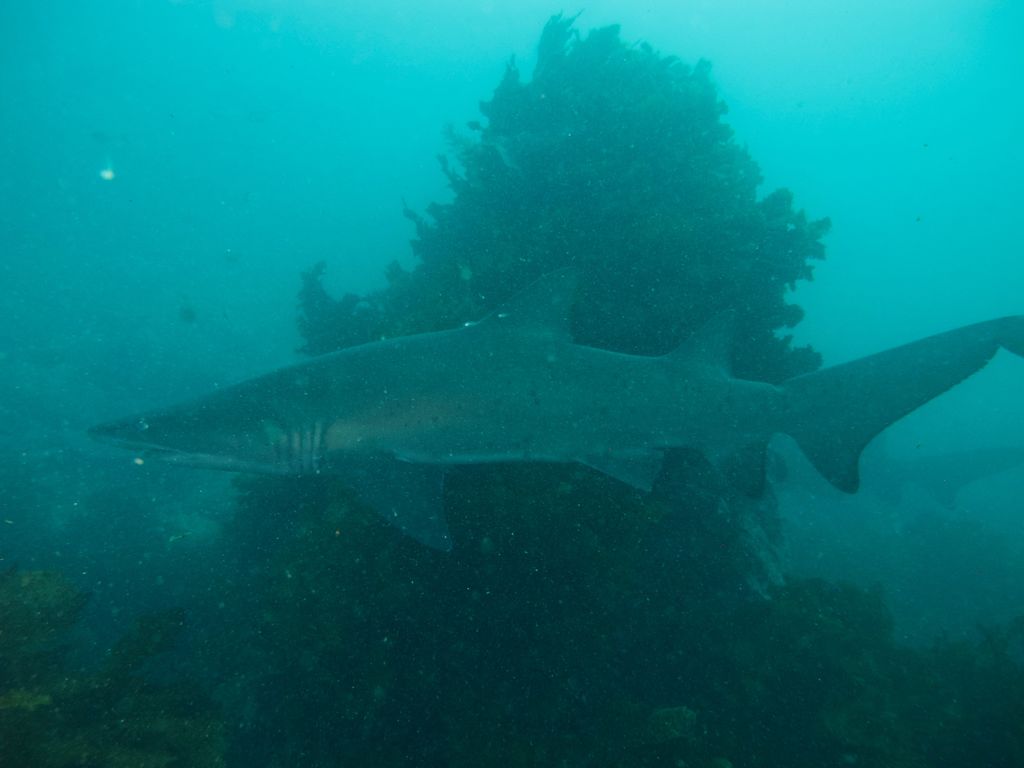 5b51f378-78a1-487f-8c6a-300b60885402