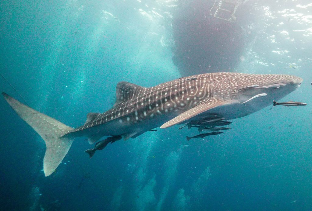 34f57e62-be8e-4110-9ea6-833b5c95953a