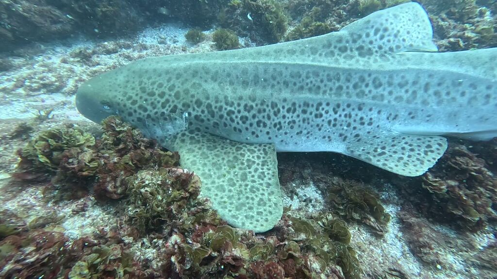 13a22aee-76a1-4e2a-b11b-81b5c2d3bdd1