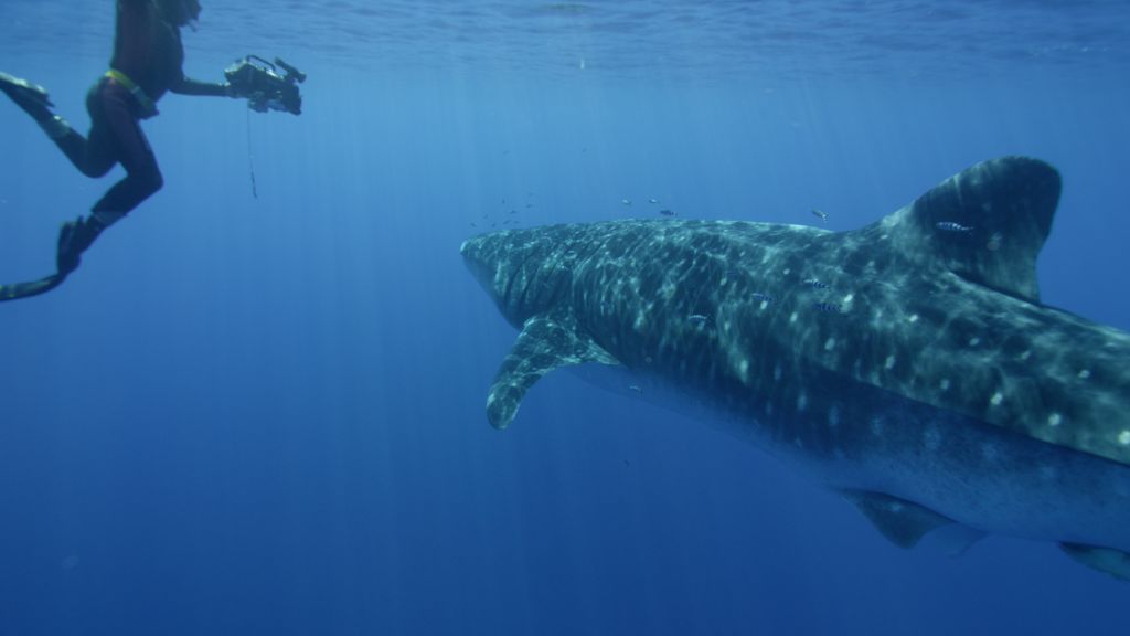 0e1266b7-e038-401f-9b2e-c1f5cba34bb8