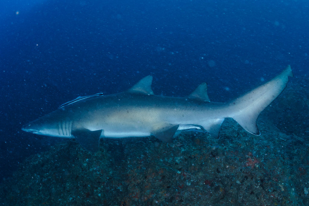 285554dc-4086-4dd0-b2dd-8a05cabf9885