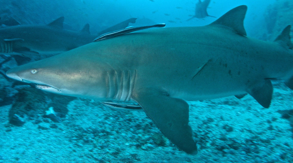 e3525232-1eb5-47c3-88d6-faa81a6cba0a