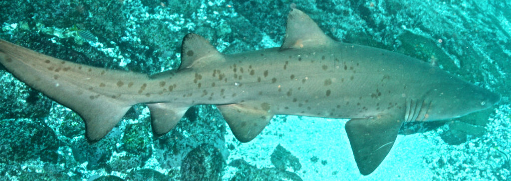 b2f2bbe8-6cbc-41e9-b77f-580961c73a43