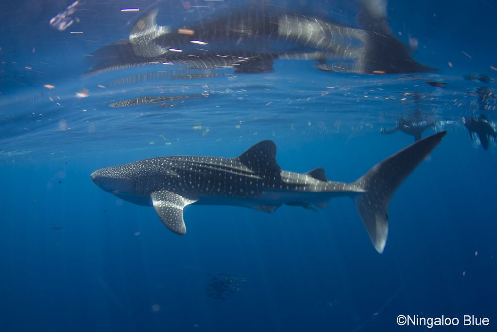 bbabdc22-8ca5-4143-9f13-2cf76514d167