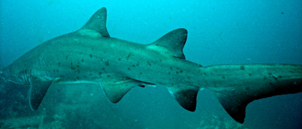 cfab9d1a-e97c-4fba-aec2-86fa77a3f96f