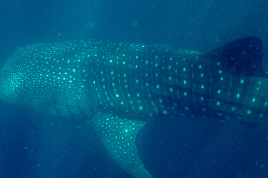 df3f8fe4-68da-402c-b5f7-c5752c94bb94