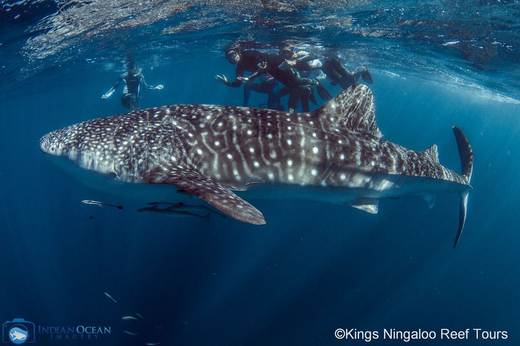 58f7f525-c64e-4da9-a65f-24f80620227d