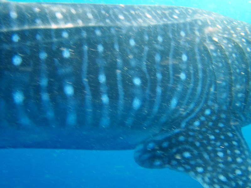 de0ece2f-c6b2-45bd-aaef-e65e95b4ecde