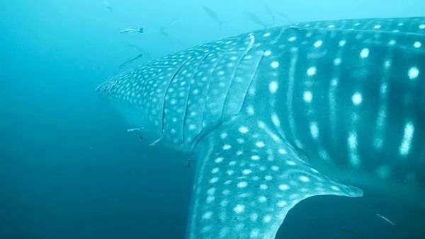 bd08cb3f-b989-4723-b759-ff185bdb5c9e