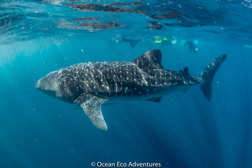 857cbe67-9405-414a-97c9-3a1d5971a3a1