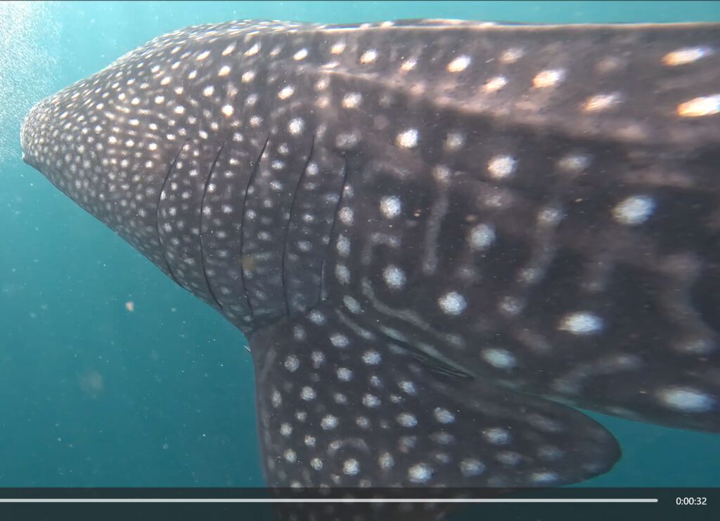 d14e096d-4be0-4a4f-a8d0-ee6015ba8f9f