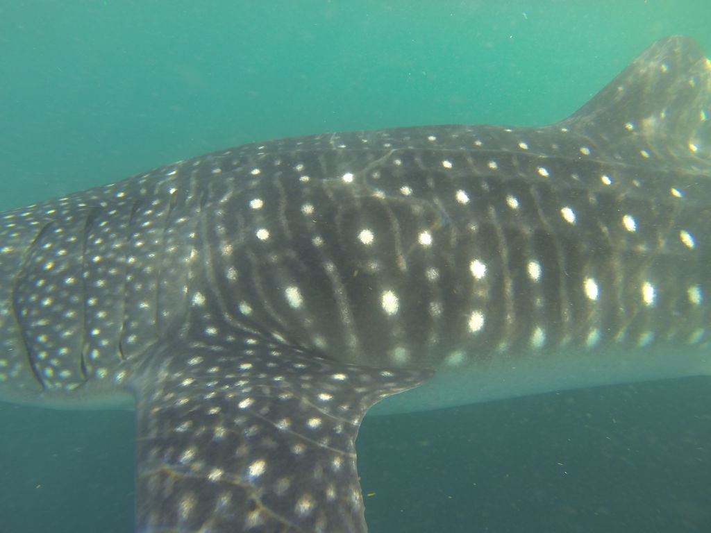 3f7d895e-3dee-4477-badc-562aa2870c28