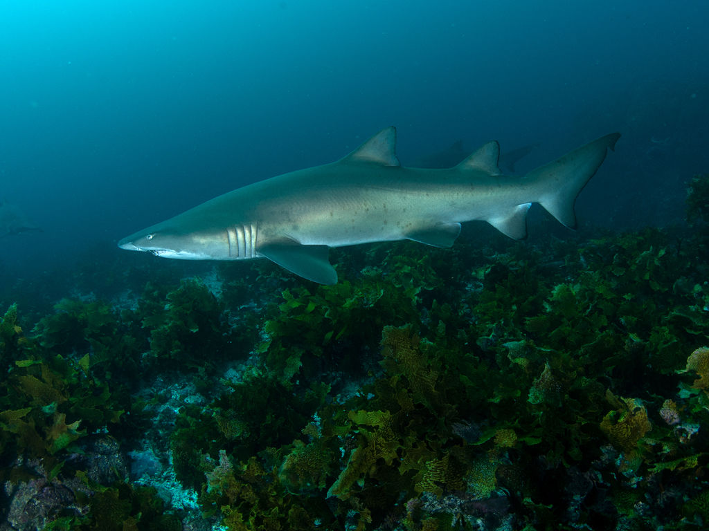 382e6550-9cac-441d-90a5-b3914d1f9b4c