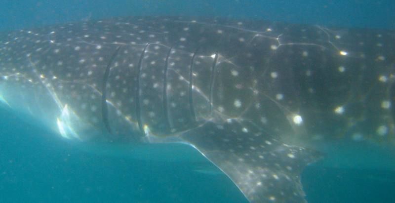 3b2bb85d-7e01-4fab-a1b7-bc77c03daad4