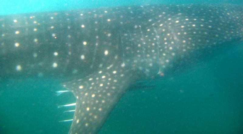 3b2bb85d-7e01-4fab-a1b7-bc77c03daad4