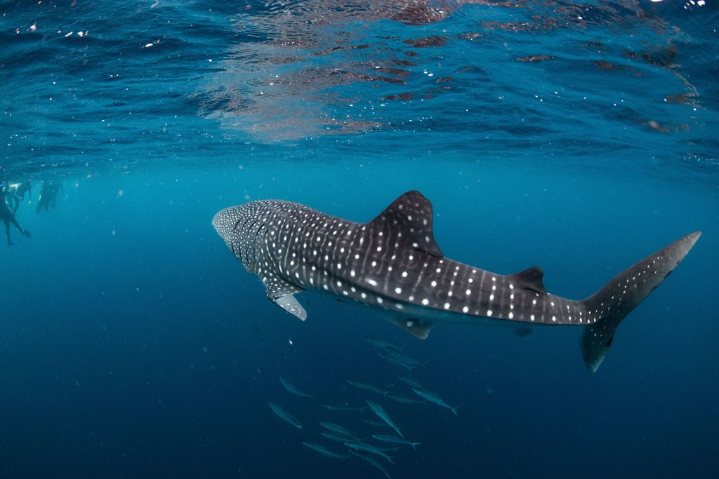 8cca526a-31f5-4d4c-aeaa-1c24ea53993d