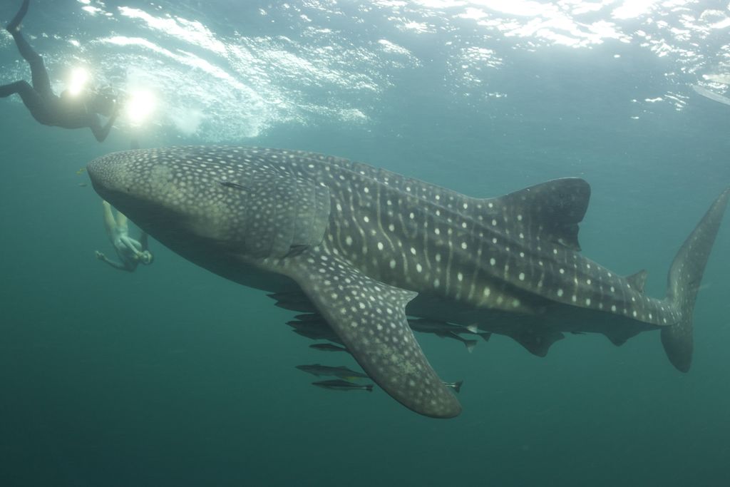 40eda02b-1b3e-4a7c-86dd-a10560660a81