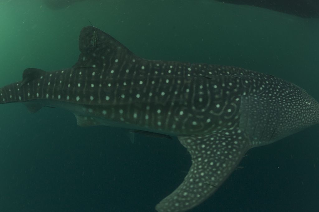 40eda02b-1b3e-4a7c-86dd-a10560660a81