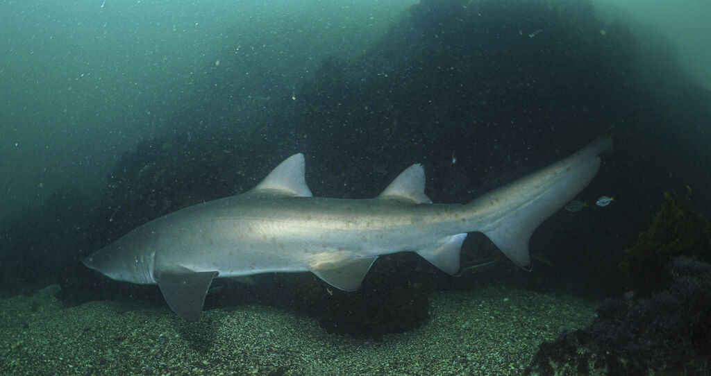 858eec47-7cff-4ecd-be4d-ed5a1cd687e1