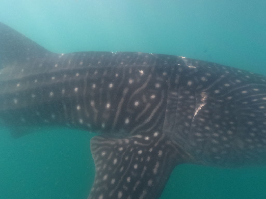 9ef64d28-6ec1-4948-bfc4-fa512bfc3854