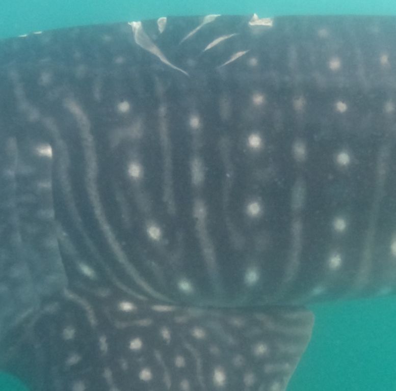 9ef64d28-6ec1-4948-bfc4-fa512bfc3854