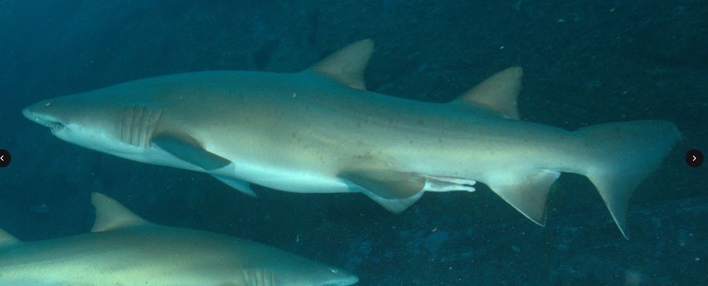 f96b606d-d922-419d-af59-705421db9ddc