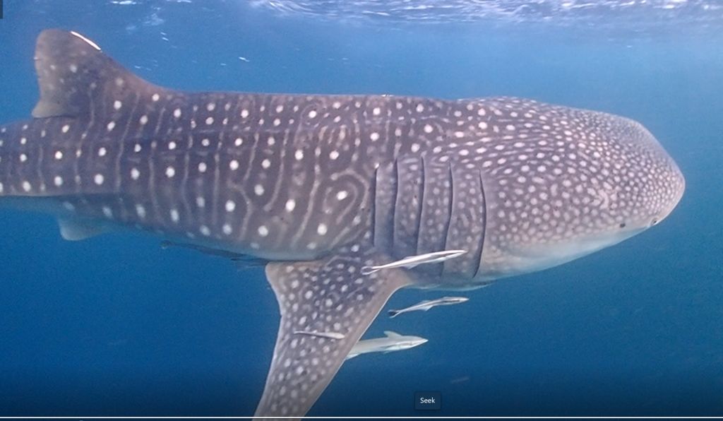 b6bfb35e-4324-47a8-828e-5e355c596cf2