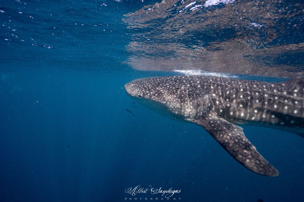 7ad01669-18ec-49dc-bda2-b96424576c6f