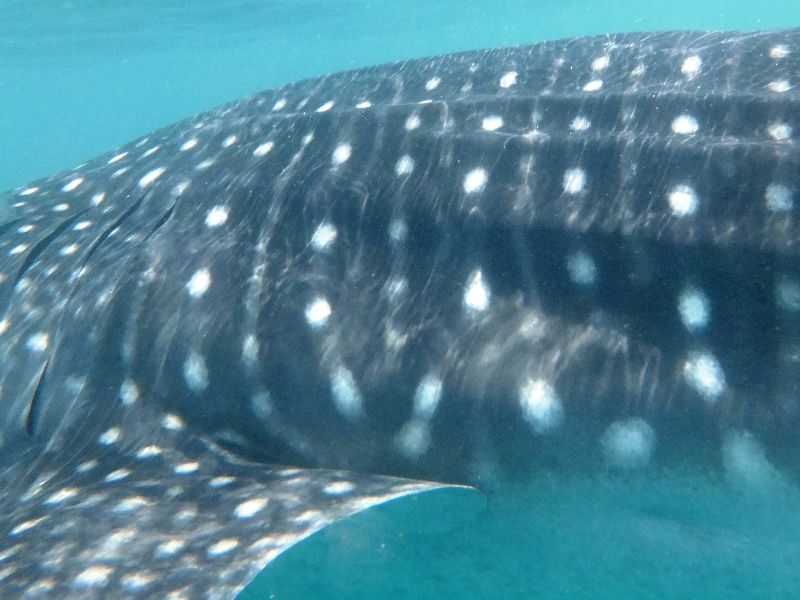 80060728-25cc-4186-a687-493d30c96411